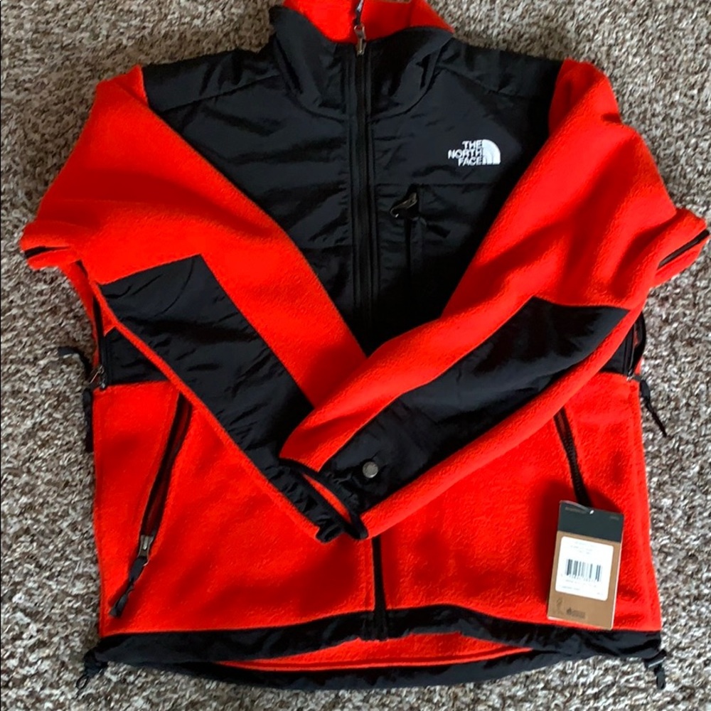 The north face jacket